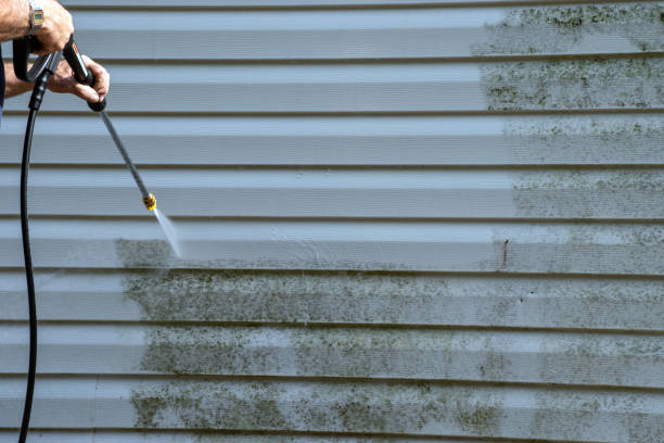 Affordable Siding Repair and Maintenance Services in Douglass Hills, KY